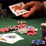 探秘：龙七赔率表 2025 更新版揭示博彩新趋势-白嫖论坛-白菜论坛-白菜导航网